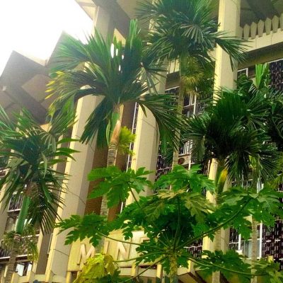 MINFI Bulding