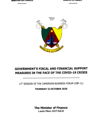 Speech by the Minister of Finance during the 11th session of the Cameroon Business Forum