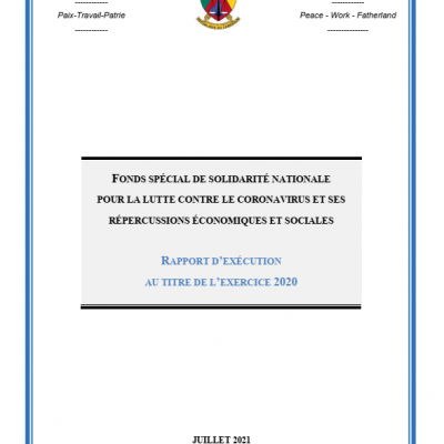 Rapport d'Exécution de l'Exercice 2020