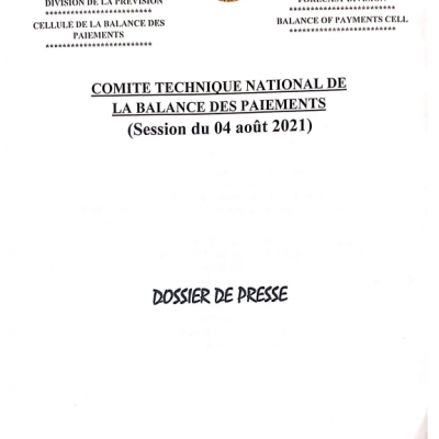 Comité Technique National de la Balance des paiements